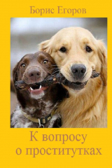 книга К вопросу о проститутках