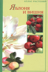 книга Яблоня и вишня