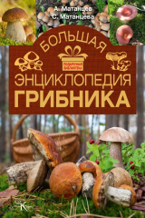 книга Большая энциклопедия грибника