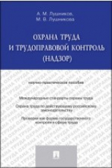 книга Охрана труда и трудоправовой контроль (надзор)