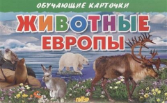 Книга Обучающие карточки. Животные Европы на ReadRate.com книга Обучающие карточки. Животные Европы