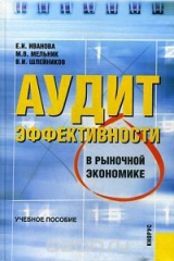 книга Аудит эффективности в рыночной экономике