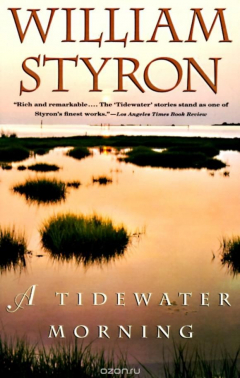 Книга A Tidewater Morning на ReadRate.com книга A Tidewater Morning