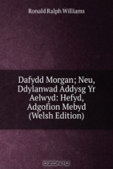 книга Dafydd Morgan; Neu, Ddylanwad Addysg Yr Aelwyd: Hefyd, Adgofion Mebyd (Welsh Edition)