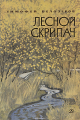 книга Лесной скрипач