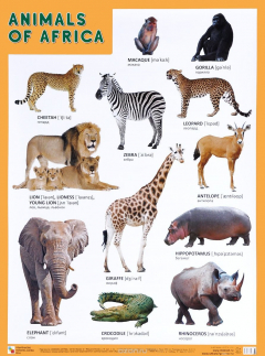 Книга Animals of Africa / Животные Африки. Плакат на ReadRate.com книга Animals of Africa / Животные Африки. Плакат
