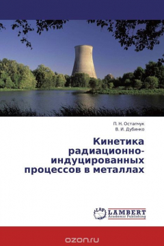 Книга Кинетика радиационно-индуцированных процессов в металлах на ReadRate.com книга Кинетика радиационно-индуцированных процессов в металлах