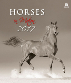 Книга Календарь настенный на 2017 год (на спирали). Horses in Motion (Легенды о лошадях) на ReadRate.com книга Календарь настенный на 2017 год (на спирали). Horses in Motion (Легенды о лошадях)