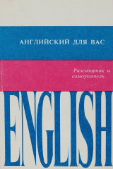 книга Английский для вас. Разговорник и самоучитель
