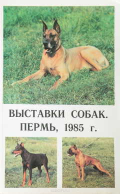 Книга Выставки собак. Пермь, 1985 на ReadRate.com книга Выставки собак. Пермь, 1985