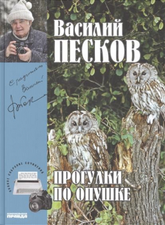 Книга Полное собрание сочинений. Том 22. 2002-2005. Прогулки на опушке на ReadRate.com книга Полное собрание сочинений. Том 22. 2002-2005. Прогулки на опушке