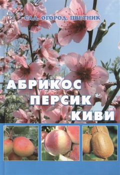 Книга Абрикос. Персик. Киви на ReadRate.com книга Абрикос. Персик. Киви