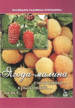 Книга Ягода-малина… Смородина. Крыжовник. Кизил на ReadRate.com книга Ягода-малина… Смородина. Крыжовник. Кизил
