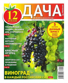 Книга Дача Pressa.ru 16-2016 на ReadRate.com книга Дача Pressa.ru 16-2016