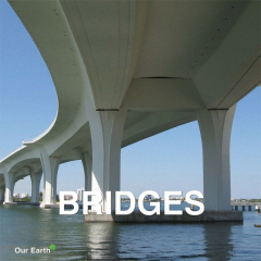 Книга Bridges на ReadRate.com книга Bridges