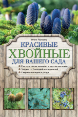 книга Красивые хвойные для вашего сада