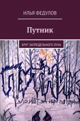 книга Путник. Круг запредельного луча
