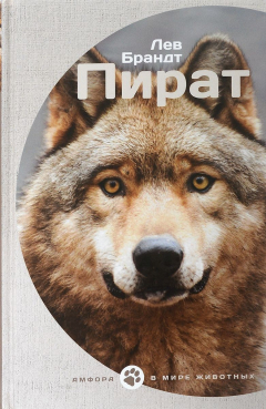 Книга Пират на ReadRate.com книга Пират