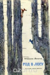книга Год в лесу