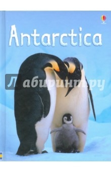 Книга Antarctica (HB) на ReadRate.com книга Antarctica (HB)