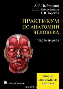 Книга Практикум по анатомии человека. В 4 частях. Часть 1. Опорно-двигательная система на ReadRate.com книга Практикум по анатомии человека. В 4 частях. Часть 1. Опорно-двигательная система