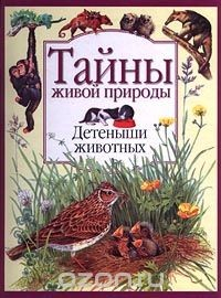 Книга Детеныши животных на ReadRate.com книга Детеныши животных