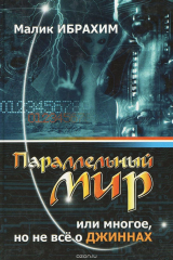 книга Параллельный мир или Многое, но не все о джиннах
