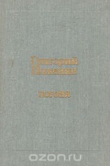 книга Погоня