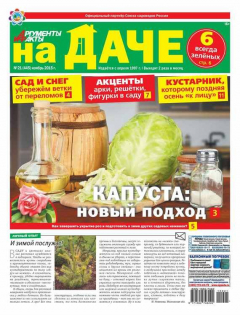 Книга Аргументы и факты. На даче. №21/2015 на ReadRate.com книга Аргументы и факты. На даче. №21/2015