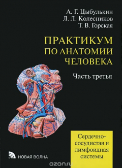 Книга Практикум по анатомии человека. В 4 частях. Часть 3. Сердечно-сосудистая и лимфоидная системы на ReadRate.com книга Практикум по анатомии человека. В 4 частях. Часть 3. Сердечно-сосудистая и лимфоидная системы