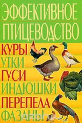 книга Эффективное птицеводство. Куры, утки, гуси, индюшки, перепела, фазаны