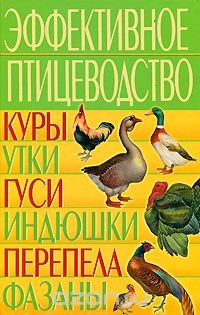 Книга Эффективное птицеводство. Куры, утки, гуси, индюшки, перепела, фазаны на ReadRate.com книга Эффективное птицеводство. Куры, утки, гуси, индюшки, перепела, фазаны
