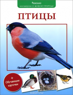 Книга Птицы на ReadRate.com книга Птицы