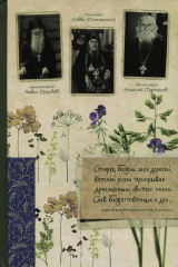 книга Старец божий шел дорогой