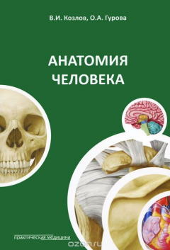 Книга Анатомия человека. Учебное пособие на ReadRate.com книга Анатомия человека. Учебное пособие