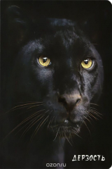 книга Блокнот настоящего хищника (Пантера)