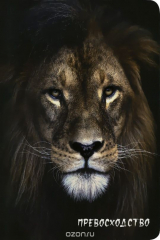 книга Блокнот настоящего хищника (Лев)