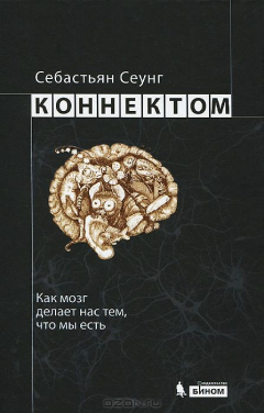 Книга Коннектом. Как мозг делает нас тем, что мы есть на ReadRate.com книга Коннектом. Как мозг делает нас тем, что мы есть