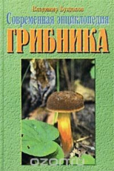 книга Современная энциклопедия грибника