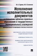 книга Исполнение исполнительных документов в отношении публично-правовых образований и государственных (муниципальных) учреждений