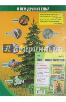 Книга Комплект плакатов. Лес - наше богатство. 4 плаката. ФГОС на ReadRate.com книга Комплект плакатов. Лес - наше богатство. 4 плаката. ФГОС