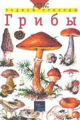 книга Грибы. Учебное пособие для школьников младших и средних классов