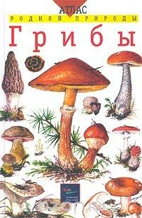 Книга Грибы. Учебное пособие для школьников младших и средних классов на ReadRate.com книга Грибы. Учебное пособие для школьников младших и средних классов