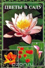 книга Цветы в саду: Справочное пособие