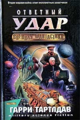 книга Ответный удар
