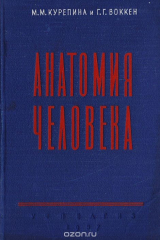 книга Анатомия человека. Учебник для педагогических институтов