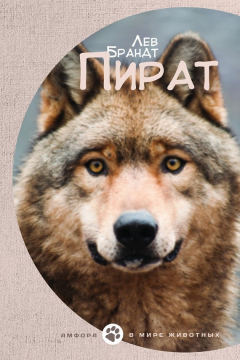 Книга Пират (сборник) на ReadRate.com книга Пират (сборник)