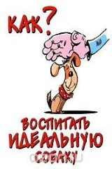 книга Как воспитать идеальную собаку