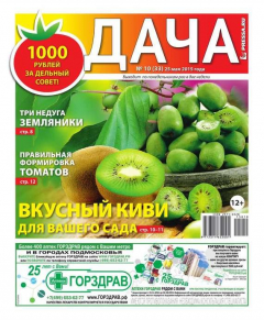 книга Дача Pressa.ru 10-2015