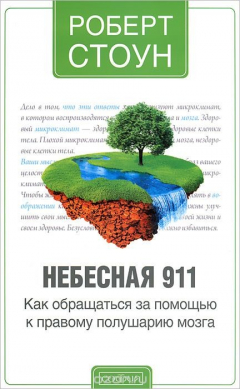 Книга Небесная 911. Как обратиться за помощью к правому полушарию мозга на ReadRate.com книга Небесная 911. Как обратиться за помощью к правому полушарию мозга